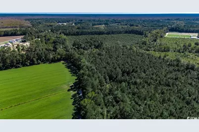 8.06 Acs Old Bucksville Rd., Conway, SC 29527 - Photo 8