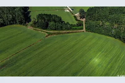 8.06 Acs Old Bucksville Rd., Conway, SC 29527 - Photo 6