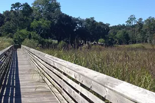Lot 142 Millbank Rd, Georgetown, SC 29440 - Photo 22