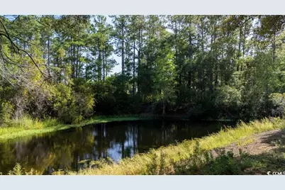 1614 Club Circle Dr., Pawleys Island, SC 29585 - Photo 28