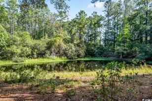 1614 Club Circle Dr, Pawleys Island, SC 29585 - Photo 26