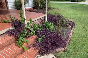 110 E Bell St, Tabor City, NC 28463 - Photo 36