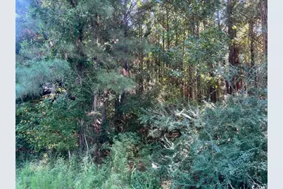 Tbd Mill Berry Ln., Conway, SC 29526 - Photo 1