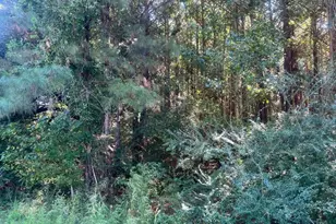 Tbd Mill Berry Ln, Conway, SC 29526 - Photo 1