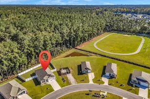 164 Seasons Trace Loop, Longs, SC 29568 - Photo 38