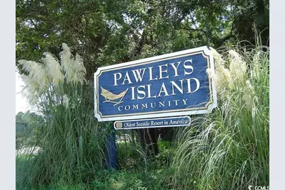 80 Mullet Bay Rd, Pawleys Island, SC 29585 - Photo 2