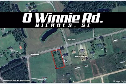 0 Winnie Rd., Nichols, SC 29581 - Photo 1