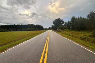 0 Winnie Rd, Nichols, SC 29581 - Photo 2