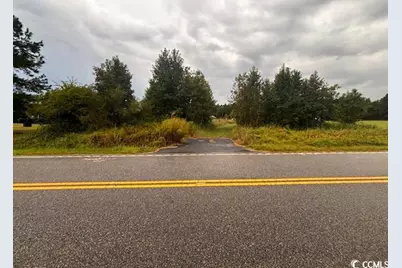 0 Winnie Rd., Nichols, SC 29581 - Photo 6