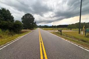 0 Winnie Rd, Nichols, SC 29581 - Photo 8