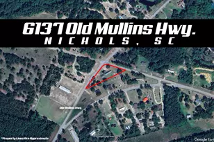 6137 Old Mullins Hwy, Nichols, SC 29581 - Photo 1