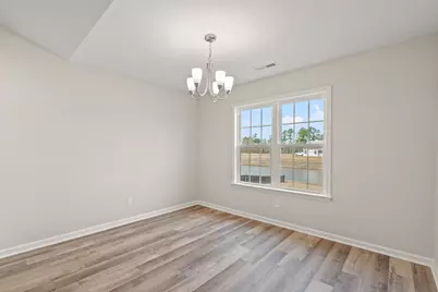 335 Barn Owl Way, Conway, SC 29527 - Photo 8