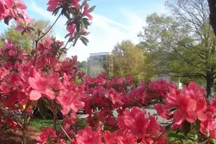 5001 Little River Rd, Myrtle Beach, SC 29577 - Photo 20