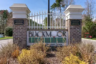 1111 N Blackmoor Dr, Murrells Inlet, SC 29576 - Photo 40