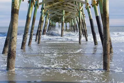 109 Ella Kinley Circle #101, Myrtle Beach, SC 29588 - Photo 40