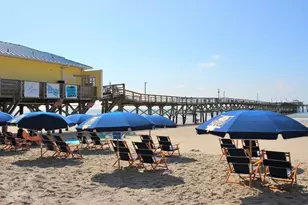 466 Blissful Ln, Little River, SC 29566 - Photo 40