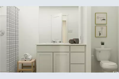 126 Indigo Grove Dr, Longs, SC 29568 - Photo 10