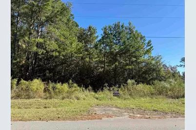 Tbd Tharpe Rd., Little River, SC 29566 - Photo 1