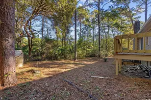 142 Blackwood Trail, Pawleys Island, SC 29585 - Photo 32