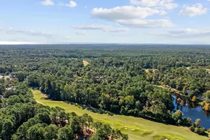 142 Blackwood Trail, Pawleys Island, SC 29585 - Photo 36