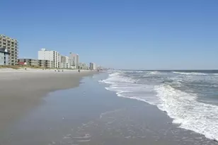 2618 Muhly court, Conway, SC 29526 - Photo 40