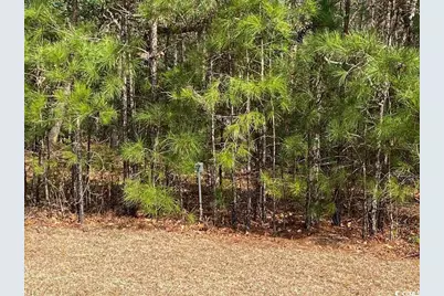 634 McCown Dr., Conway, SC 29526 - Photo 1