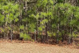 634 McCown Dr, Conway, SC 29526 - Photo 1