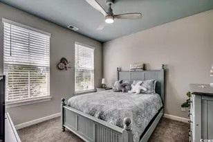 744 Beech Fork Dr, Little River, SC 29566 - Photo 26