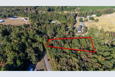 Tbd Barnes Rd., Andrews, SC 29510 - Photo 2