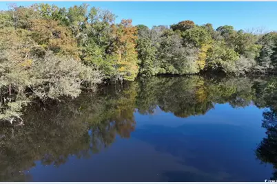 Martin Luther King Jr. Hwy., Kingstree, SC 29556 - Photo 1