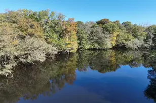 Martin Luther King Jr Hwy, Kingstree, SC 29556 - Photo 1