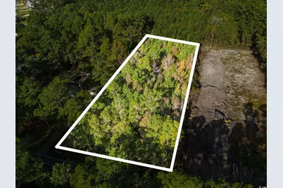 Tbd Long Avenue Ext., Conway, SC 29526 - Photo 1