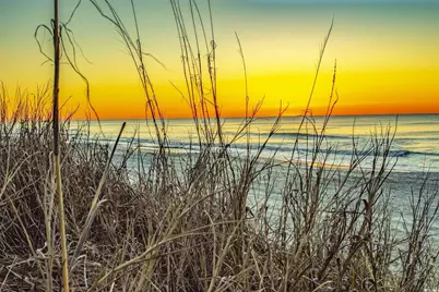 3380 Dusty Rd., Loris, SC 29569 - Photo 36