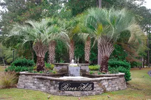 3464 Cedar Creek Run, Little River, SC 29566 - Photo 30