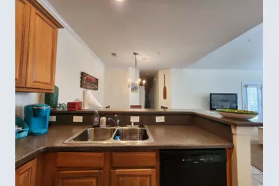 60-F Crane Dr. #Pawleys Pointe, Pawleys Island, SC 29585 - Photo 10