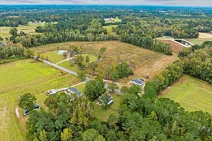 3106 Dog Bluff Rd, Galivants Ferry, SC 29544 - Photo 26