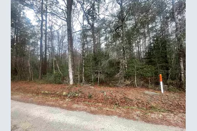 Tbd Turner Pl., Conway, SC 29526 - Photo 4