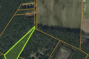 Tbd Gilbert Rd, Conway, SC 29526 - Photo 1