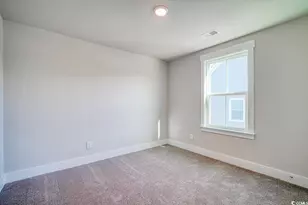 3840 Richardson St, Loris, SC 29569 - Photo 30