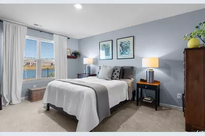 375 Spruce Pine Way, Conway, SC 29526 - Photo 14