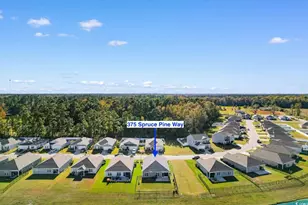 375 Spruce Pne Wy, Conway, SC 29526 - Photo 34