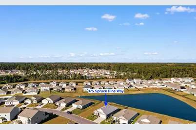 375 Spruce Pine Way, Conway, SC 29526 - Photo 32