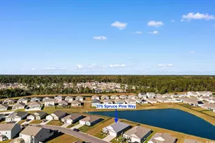 375 Spruce Pne Wy, Conway, SC 29526 - Photo 32