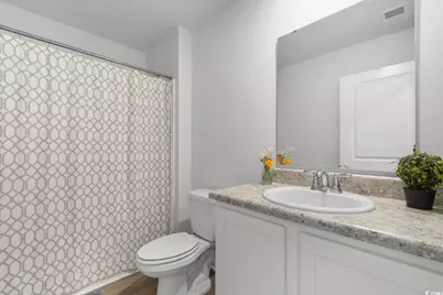 375 Spruce Pine Way, Conway, SC 29526 - Photo 20