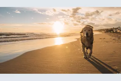 1301 Seachase Way, North Myrtle Beach, SC 29582 - Photo 34