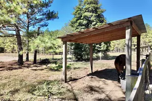 2338 Etters Ln, Cassatt, SC 29032 - Photo 32