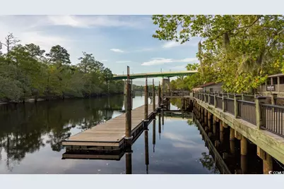 125 Teddy Bear Circle, Conway, SC 29526 - Photo 28