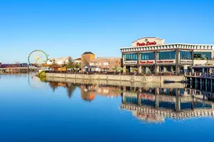 125 Teddy Bear Circle, Conway, SC 29526 - Photo 38