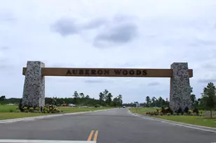 125 Teddy Bear Circle, Conway, SC 29526 - Photo 24