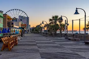 125 Teddy Bear Circle, Conway, SC 29526 - Photo 34